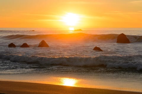 Nearby landmark, Beach