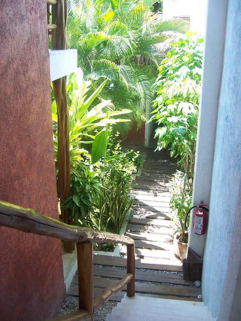 Elements of the Island Condominio in Isla Mujeres