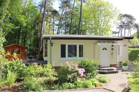 Property building, Garden, Garden view