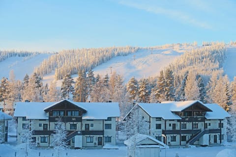 Facade/entrance, Bird's eye view, Ski School, Skiing, Mountain view