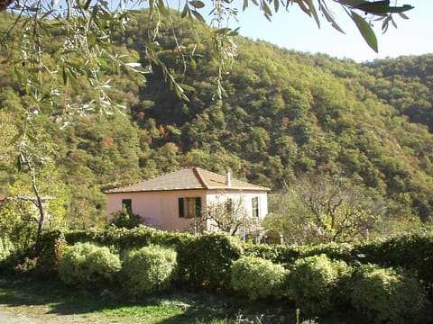 Borgata Castello Apartment in Liguria