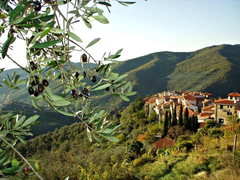 Neighbourhood, Natural landscape