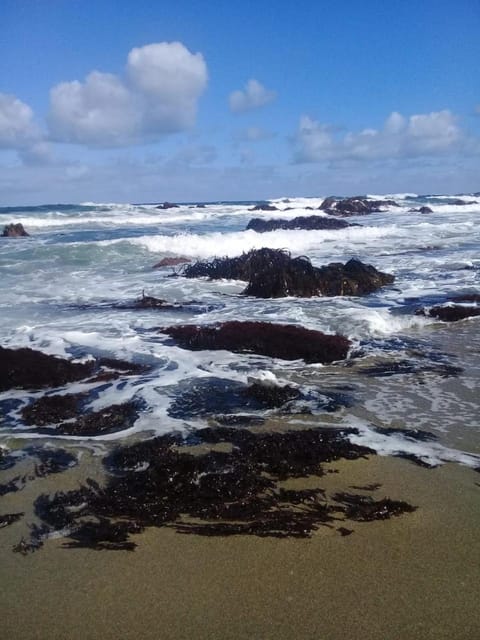 Nearby landmark, Beach, Sea view