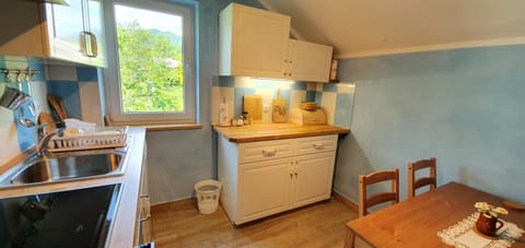 Kitchen or kitchenette, Dining area, stove, toaster