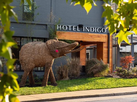 Hotel Indigo Chattanooga - Downtown, an IHG Hotel Hôtel in Chattanooga