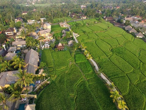 Nearby landmark, Bird's eye view