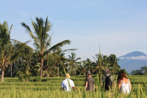 Natural landscape, Activities, Mountain view, group of guests