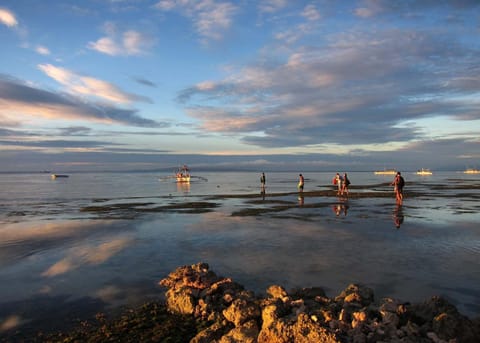 Beach, Sunrise