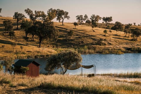 Lake view