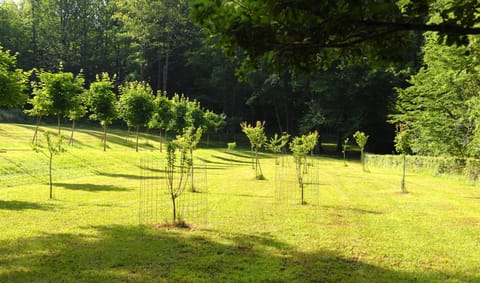 Le Manoir du Rocher Bed and Breakfast in Occitanie