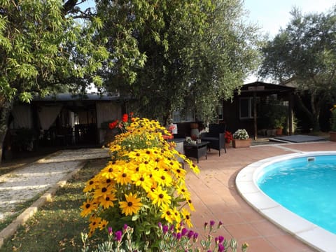 Day, Other, Dining area