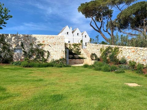 Patio, Garden, Garden view