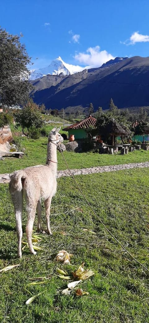 Tullpa Rumy Bed and Breakfast in Ancash, Peru