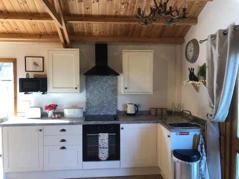 Cosy dog friendly lodge with an outdoor bath on the Isle of Wight Condo in Godshill