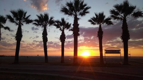 Nearby landmark, Natural landscape, Beach, Entertainment, Sunset