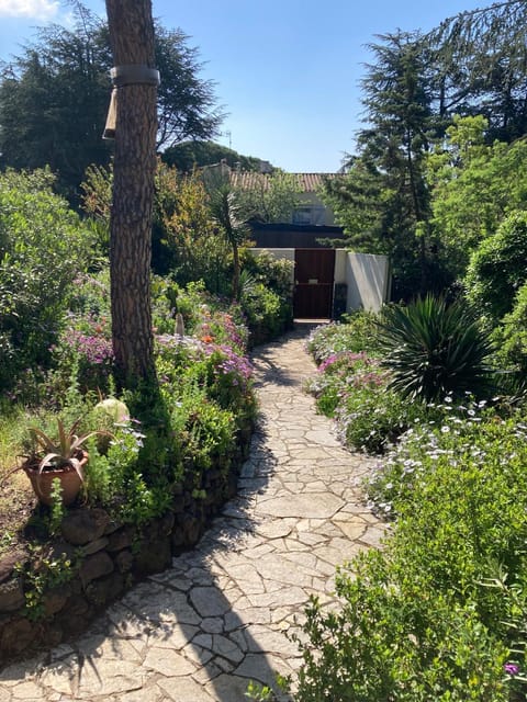 Facade/entrance, Garden, Garden view