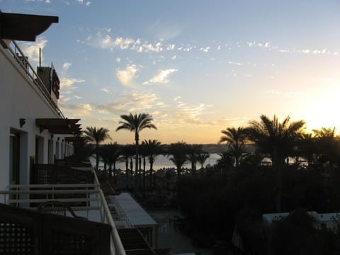 Balcony/Terrace, Sunset