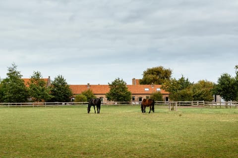 Facade/entrance, BBQ facilities, Garden, Horse-riding, Balcony/Terrace, Animals, Pets