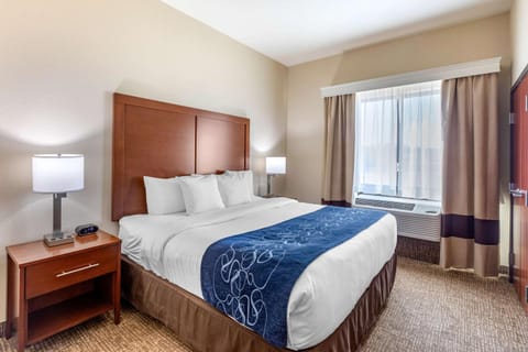 Comfort Suites Near Denver Downtown Hotel in Denver
