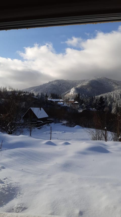 Winter, Garden view, Mountain view