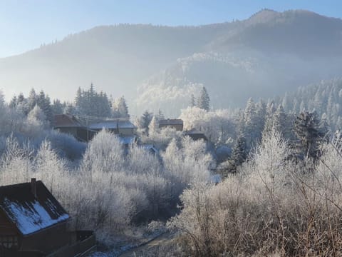 Winter, Mountain view