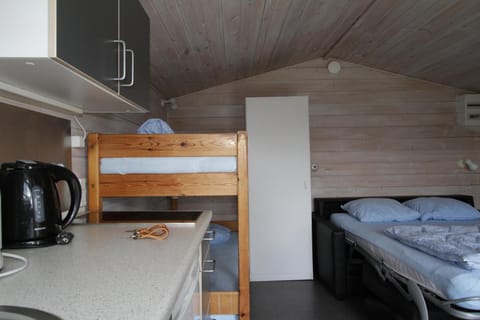 Bed, Kitchen or kitchenette, Living room, Dining area, bunk bed