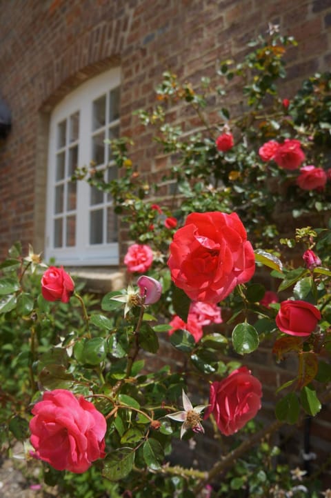 The Old Mill Bed and Breakfast Bed and Breakfast in Purbeck District