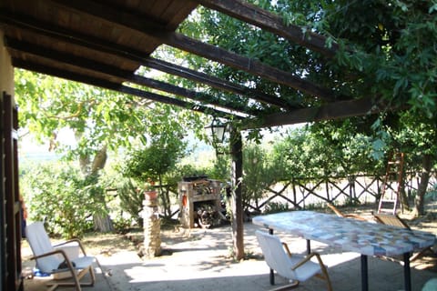 Patio, Balcony/Terrace