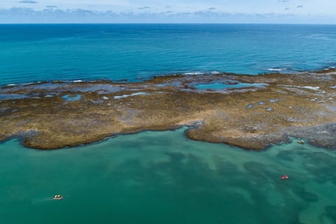 Natural landscape, Bird's eye view