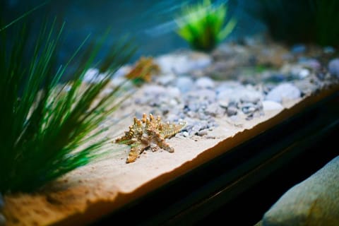 Panoramic sea views - Luxury 5 Star Penthouse Apartment in Swansea