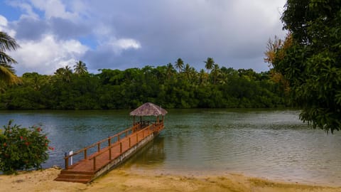 Natural landscape, Lake view