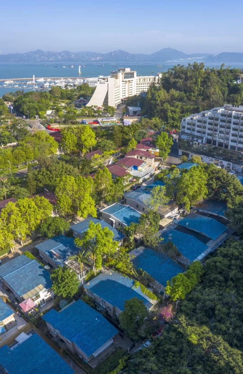 Property building, Bird's eye view, City view