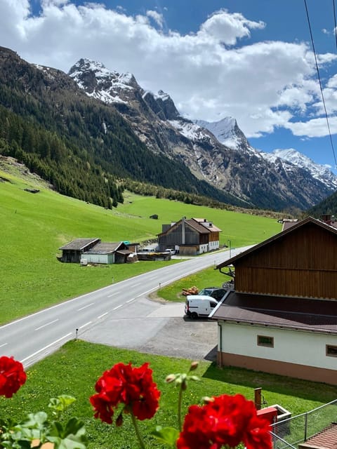 View (from property/room)