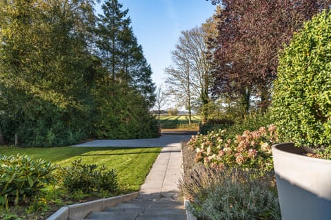 Property building, Garden view