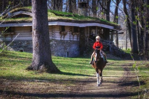 Horse-riding