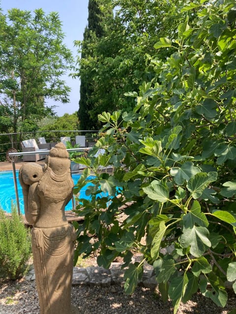 Garden, Swimming pool