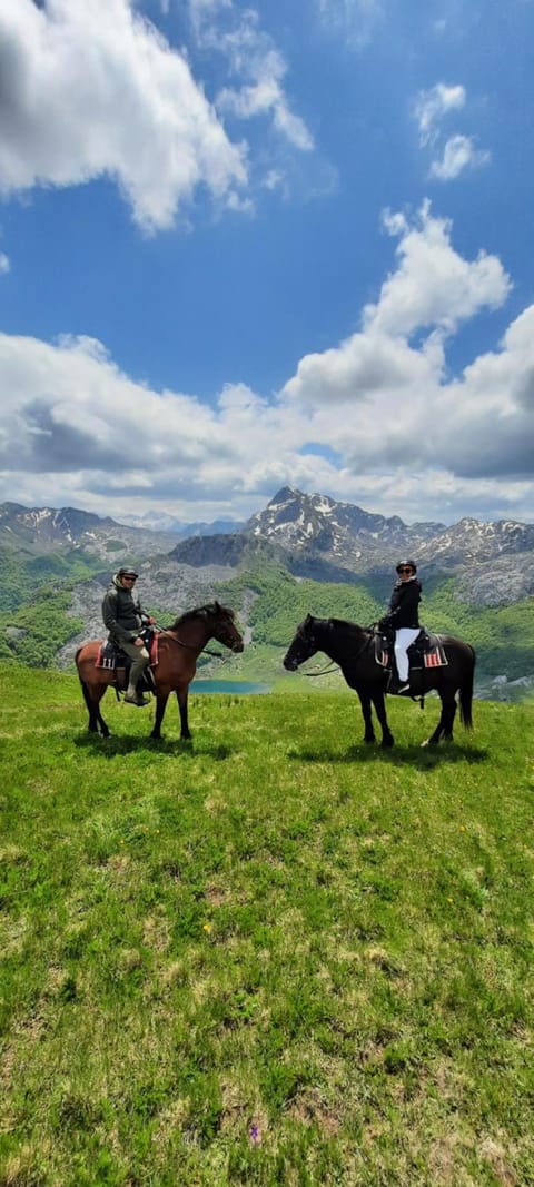 Horse-riding