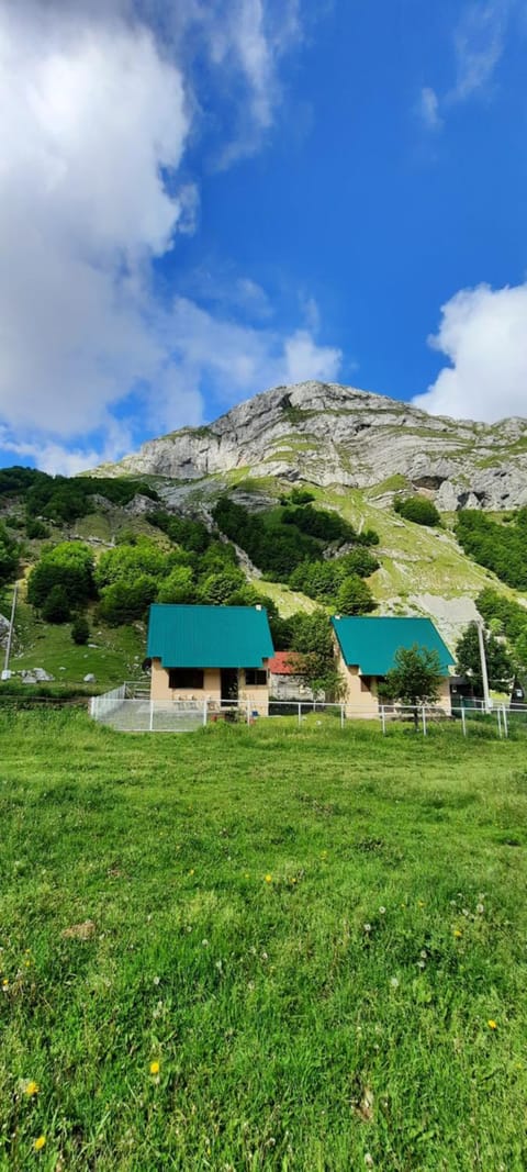 Katun Mokra accommodation & horseback riding Chalet in Podgorica Municipality, Montenegro