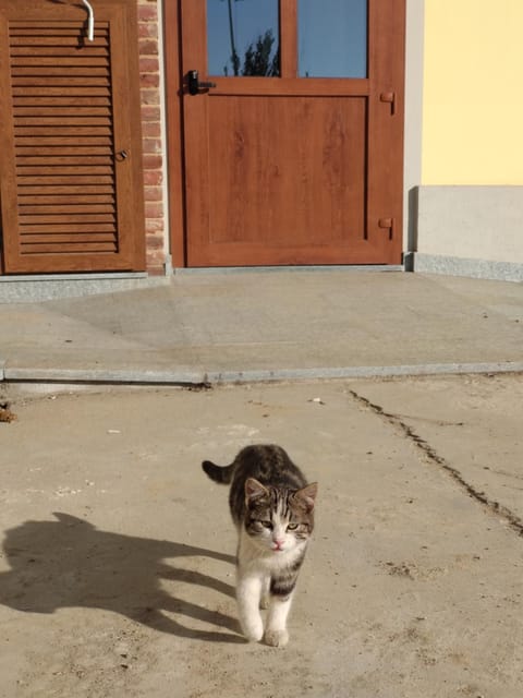 CASCINA PONTETTO Pensão in Asti