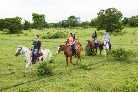 Horse-riding