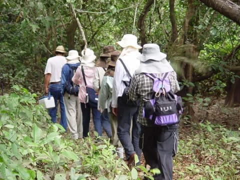 Hiking, On site