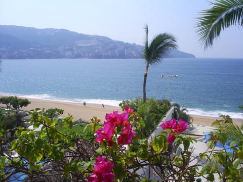Hotel Acapulco Malibu Hotel in Acapulco