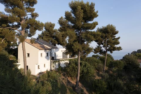 Property building, Day, Natural landscape