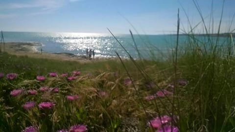 Nearby landmark, Natural landscape, Beach