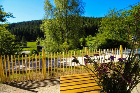 Black Forest Apartements by Hotel Grüner Baum Feldberg Eigentumswohnung in Schluchsee