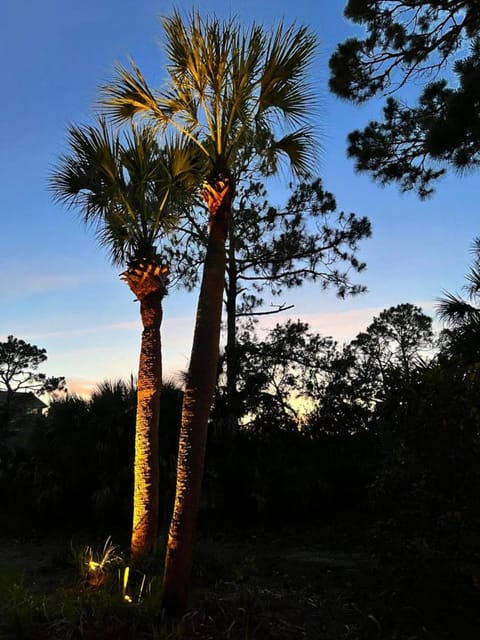 803 Sea Bass Dr House in Fripp Island