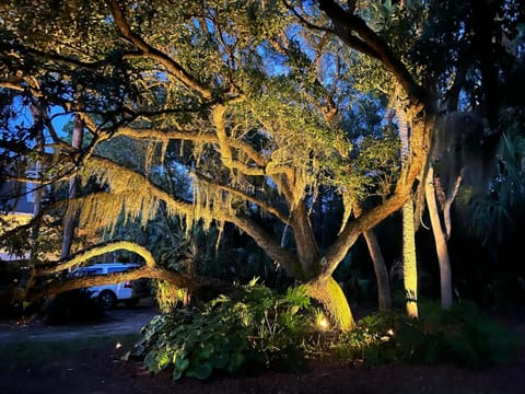 803 Sea Bass Dr Casa in Fripp Island