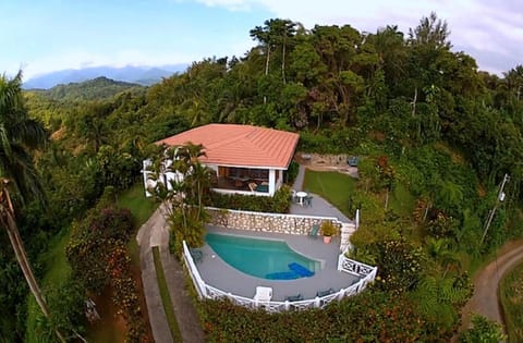 Tranquility Villa villa in Port Antonio