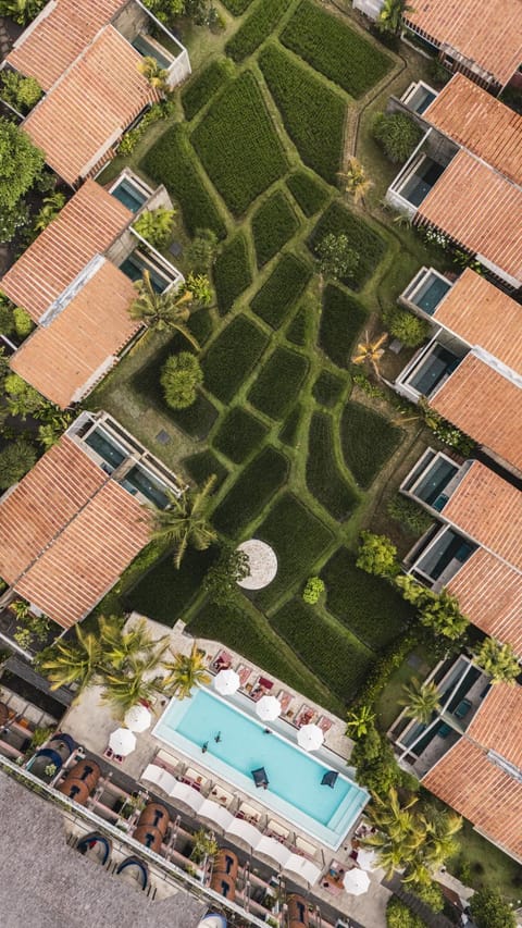 Property building, Bird's eye view, sunbed