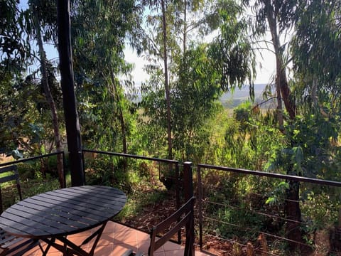 Balcony/Terrace, Garden view